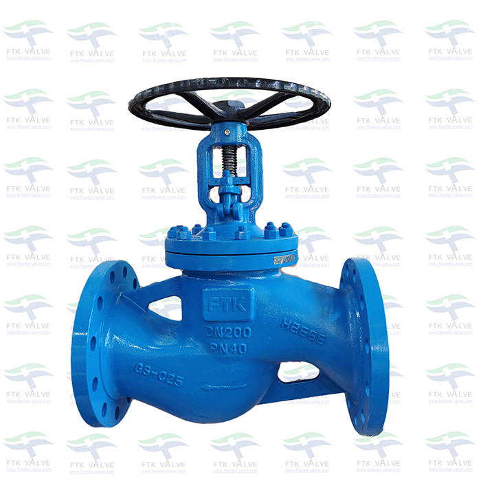 DIN EN Globe Valve